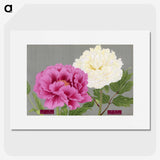 1-3_The-Picture-Book-of-Peonies_picture