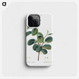 1-3_Treatise-on-Trees-and-Shrubs_phone