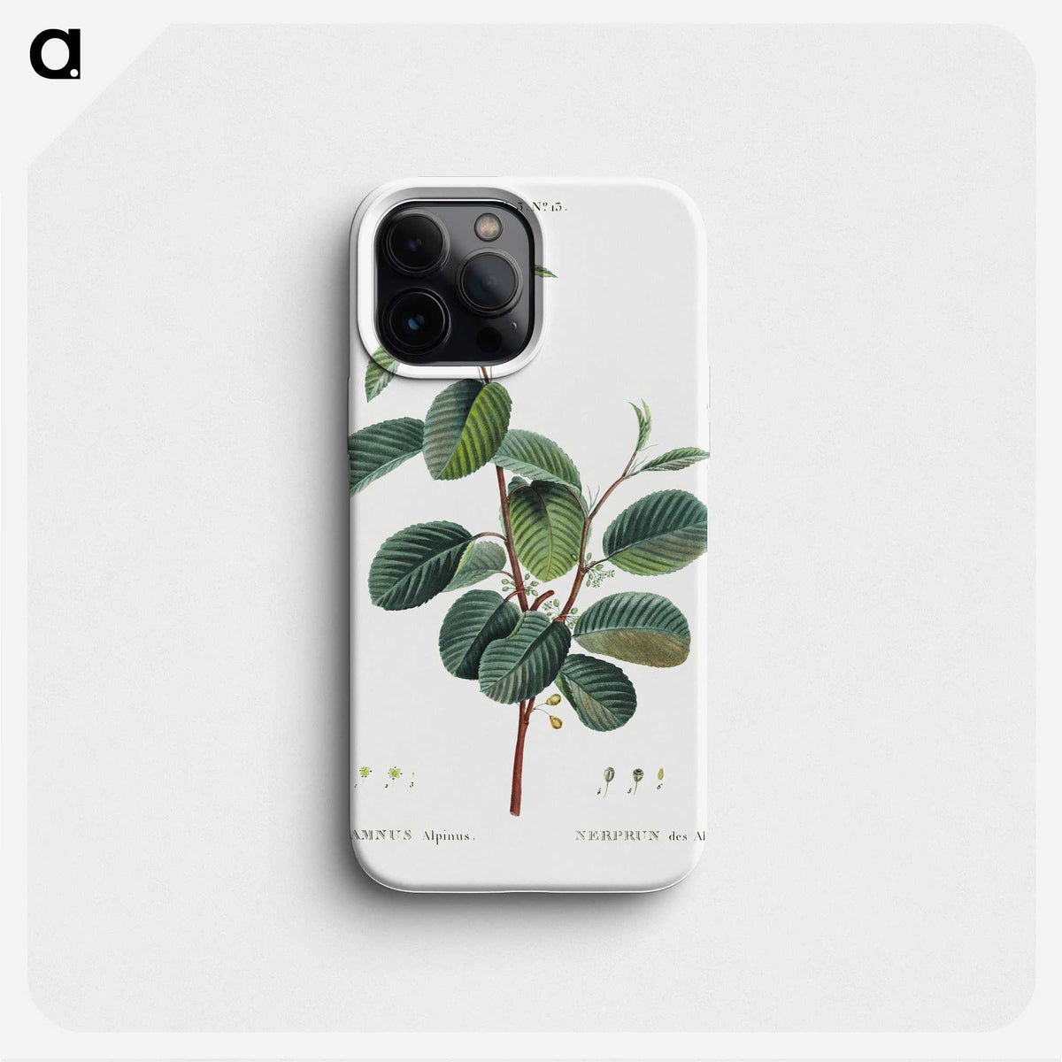 1-3_Treatise-on-Trees-and-Shrubs_phone