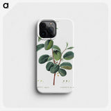 1-3_Treatise-on-Trees-and-Shrubs_phone