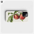 1-3_USDA-Watercolor-Fruit-Painting-Collection_phone