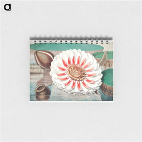 アートメモ帳-The Victoria Regia; or the Great Water Lily of America - ビクトリア レジア Memo.