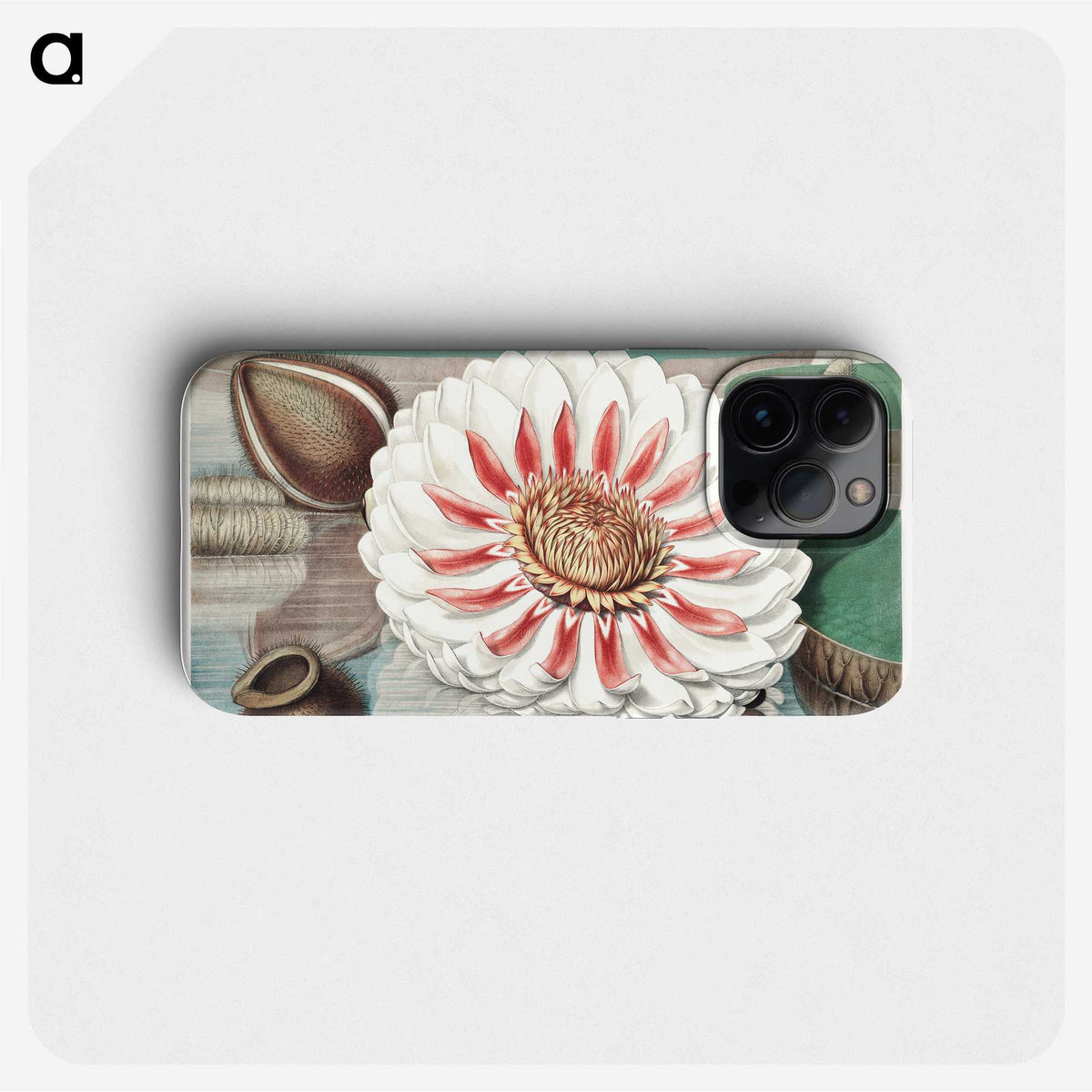 1-3_Victoria-Regia_phone