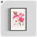 Campbell's magnolia - ウォルター フッド フィッチ Poster.