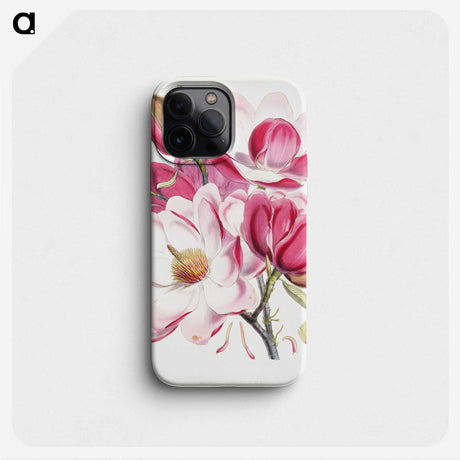 1-3_Walter-Hood-Fitch_phone
