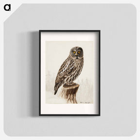 アートポスター-Great grey owl - ヴィルヘルム フォン ライト Poster.