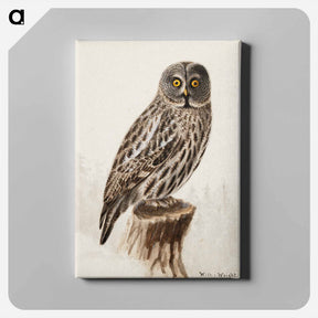 アートパネル-Great grey owl - ヴィルヘルム フォン ライト Canvas.