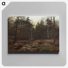 アートパネル-Woodland Scene by William Bliss Baker, 1885, oil on canvas, 38 x 50 inches (96.5 x 127 cm) - ウィリアム ブリス ベイカー Canvas.