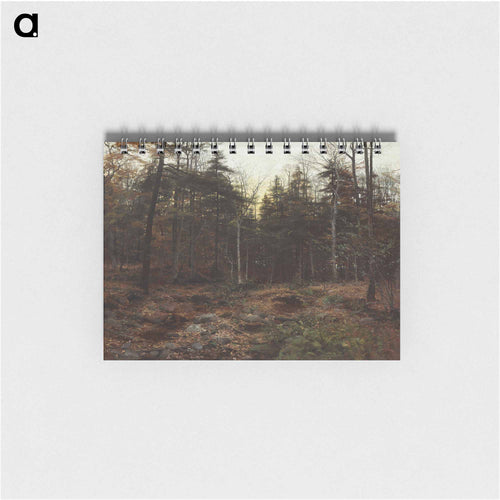 Woodland Scene by William Bliss Baker, 1885, oil on canvas, 38 x 50 inches (96.5 x 127 cm) - ウィリアム ブリス ベイカー Memo.