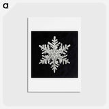 アートポストカード-Wilson Bentley's Snowflake 1152 - ウィルソン ベントレー Postcard.