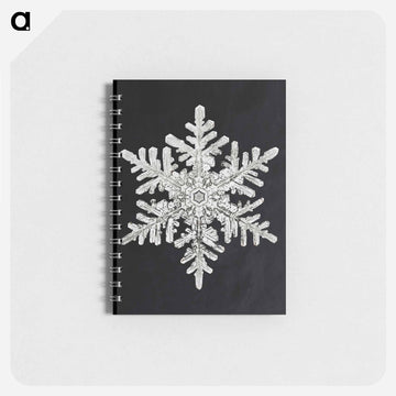 Wilson Bentley's Snowflake 1152 - ウィルソン ベントレー Memo.