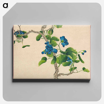 Climbing Blue Flowers - Ruoa Zhang Canvas.