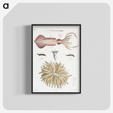 1-3_Zoology-of-New-York_blk-crop