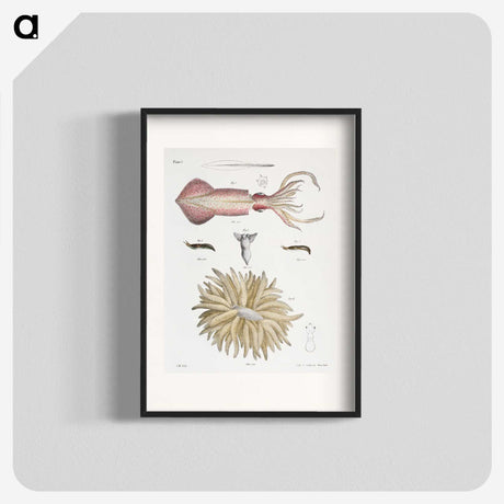 1-3_Zoology-of-New-York_blk