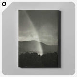 1-40_Alfred-Stieglitz_canvas