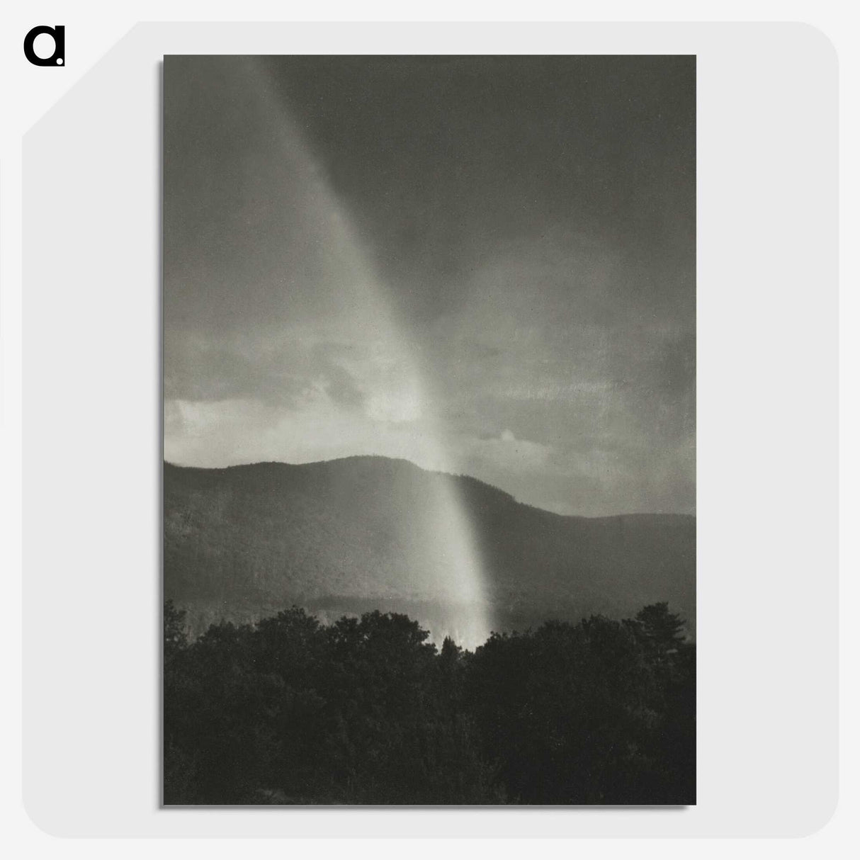 1-40_Alfred-Stieglitz_picture-crop