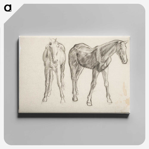 Horse, Hevosia - アルフレッド ウィリアム フィンチ Canvas.
