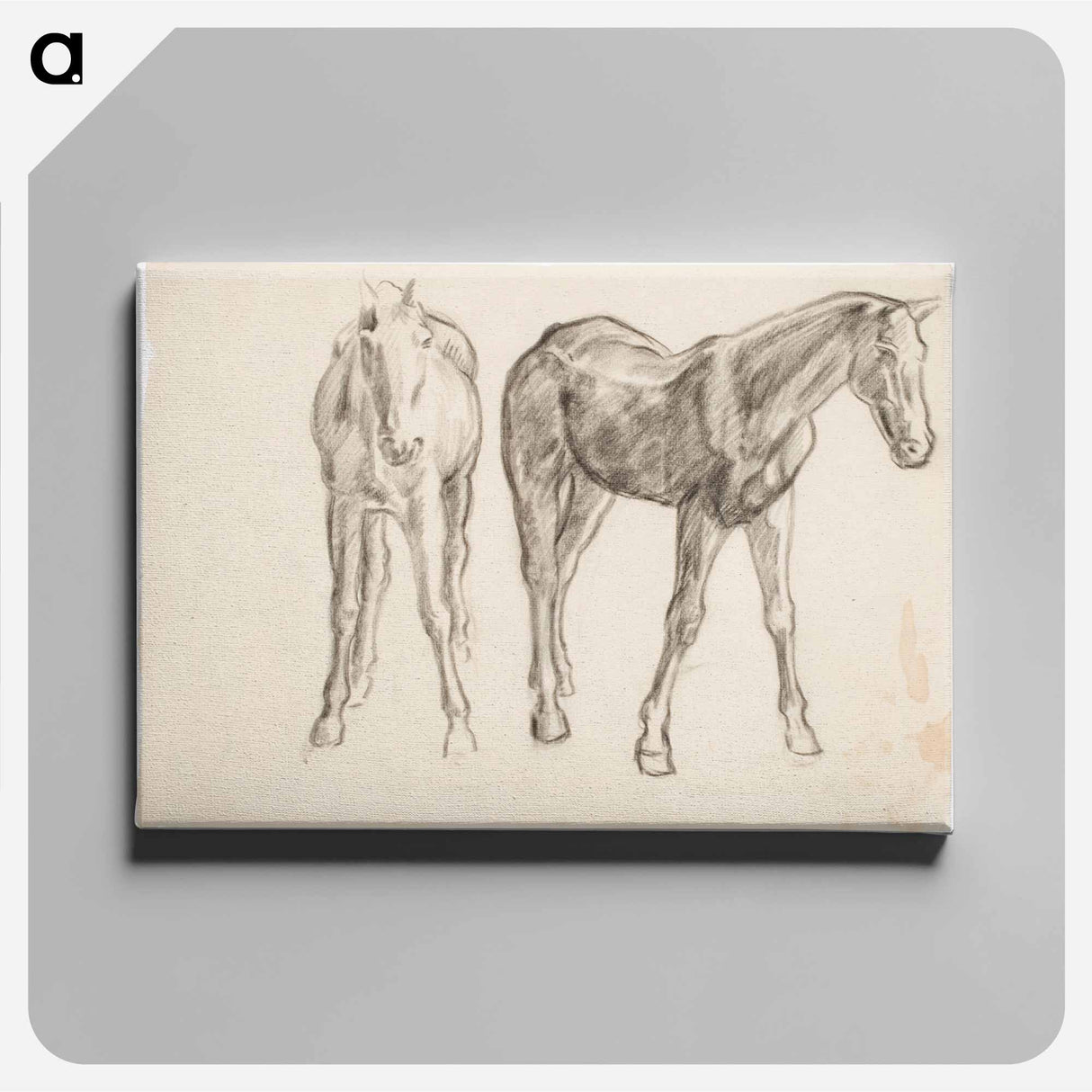 Horse, Hevosia - アルフレッド ウィリアム フィンチ Canvas.