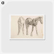 アートポストカード-Horse, Hevosia - アルフレッド ウィリアム フィンチ Postcard.