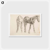 アートポストカード-Horse, Hevosia - アルフレッド ウィリアム フィンチ Postcard.