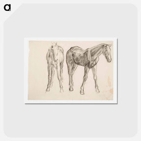 アートポストカード-Horse, Hevosia - アルフレッド ウィリアム フィンチ Postcard.