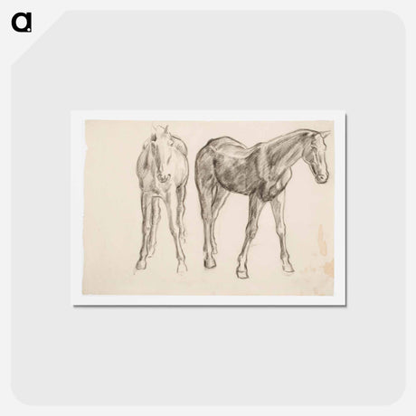 アートポストカード-Horse, Hevosia - アルフレッド ウィリアム フィンチ Postcard.