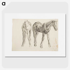 1-40_Alfred-William-Finch_picture