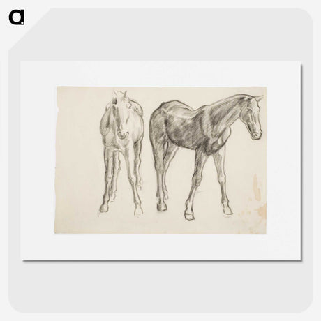 1-40_Alfred-William-Finch_picture