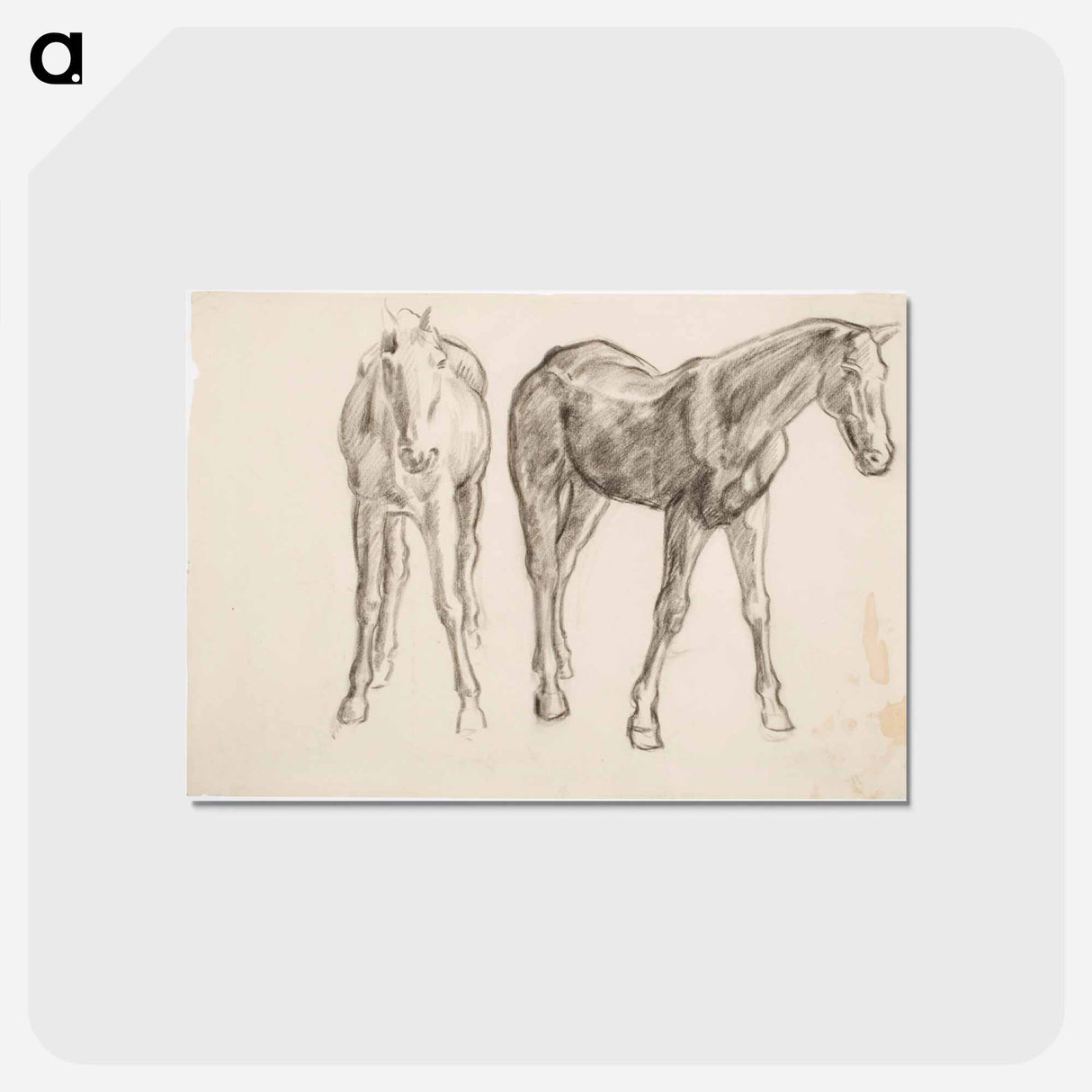 アートポストカード-Horse, Hevosia - アルフレッド ウィリアム フィンチ Postcard.