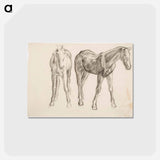 アートポストカード-Horse, Hevosia - アルフレッド ウィリアム フィンチ Postcard.