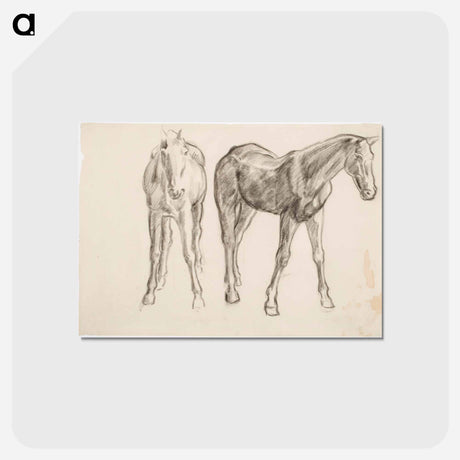 アートポストカード-Horse, Hevosia - アルフレッド ウィリアム フィンチ Postcard.