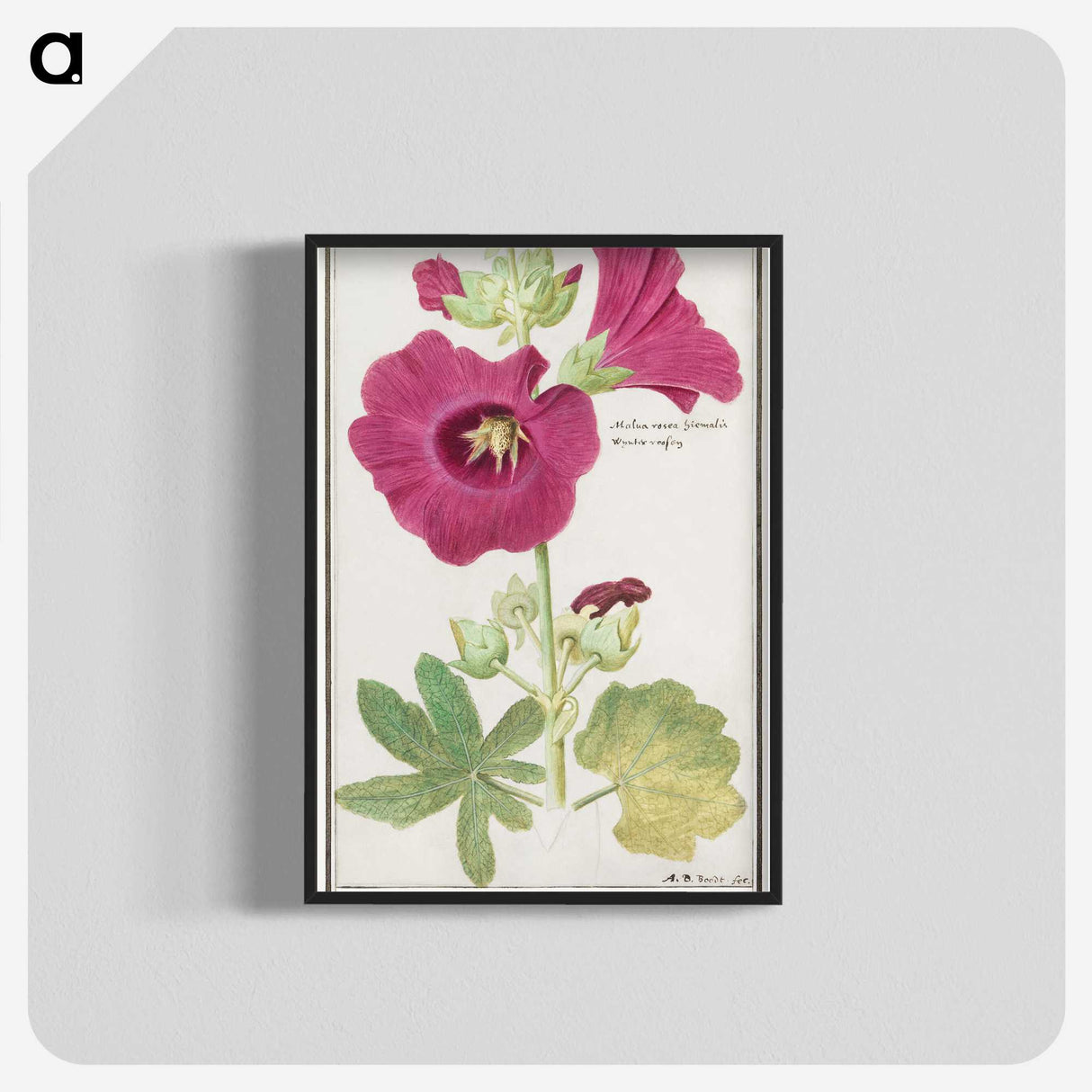 1-40_Anselmus-Boetius-de-Boodt_blk-crop