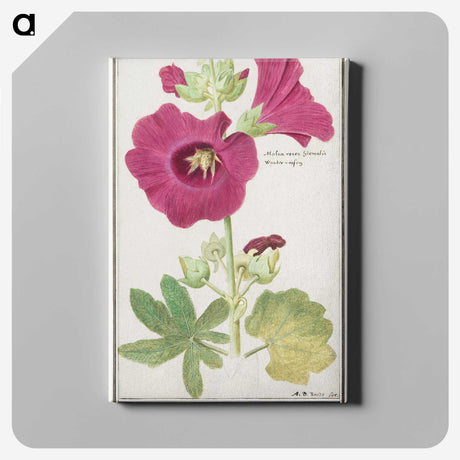 1-40_Anselmus-Boetius-de-Boodt_canvas