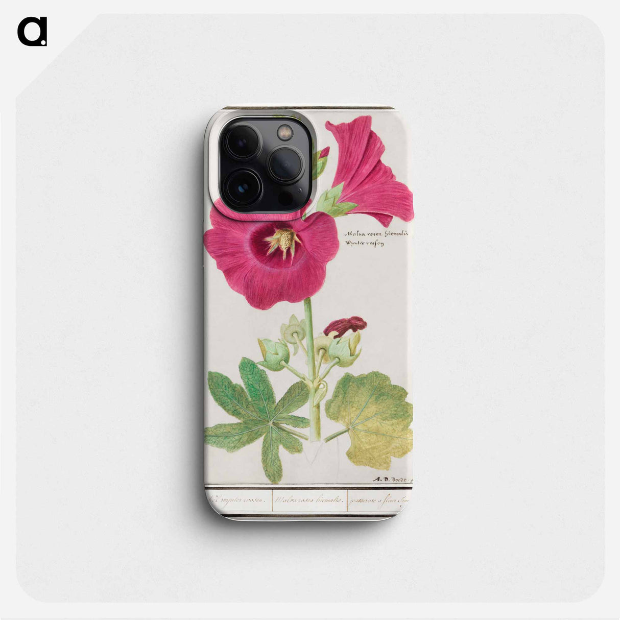Hollyhock - アンセルムス ボエティウス デ ブート Phone Case.