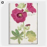 1-40_Anselmus-Boetius-de-Boodt_picture-crop