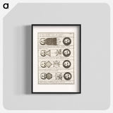 Four diagrams of Solar eclipses - アンティーク地図 Poster.