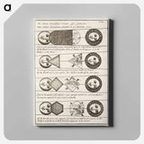 Four diagrams of Solar eclipses - アンティーク地図 Canvas.