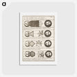 アートポストカード-Four diagrams of Solar eclipses - アンティーク地図 Postcard.