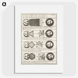 1-40_Antique-Maps_picture