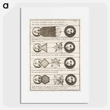 Four diagrams of Solar eclipses - アンティーク地図 Poster.