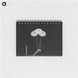 1-40_Apollo-Moon-Landing_memo