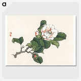1-40_Bairei-Gakan_picture-crop