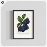 1-40_Botanical-Specimen-Plates_blk