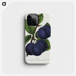 1-40_Botanical-Specimen-Plates_phone