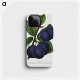 1-40_Botanical-Specimen-Plates_phone