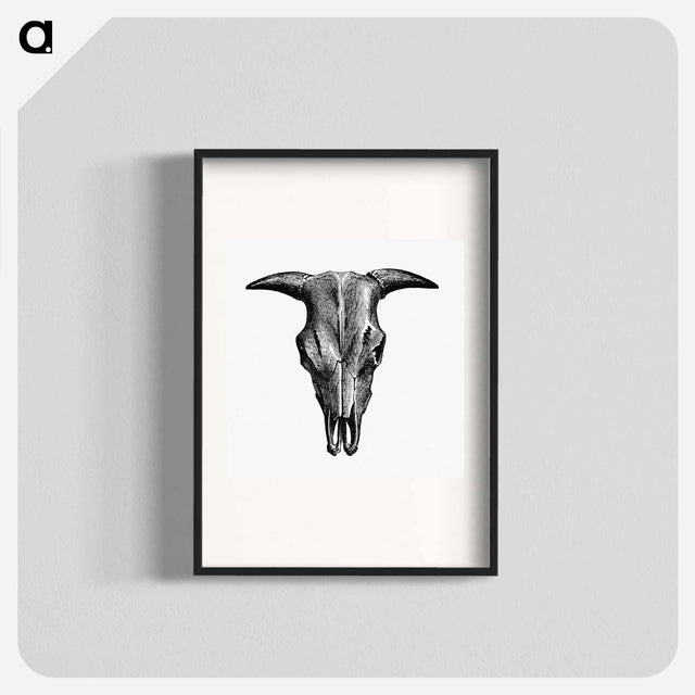 アートポスター-Animal Bone Illustration
 - 大英図書館 Poster.