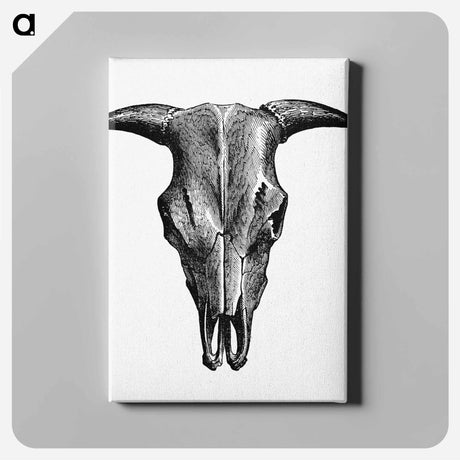 アートパネル-Animal Bone Illustration
 - 大英図書館 Canvas.
