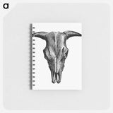 アートメモ帳-Animal Bone Illustration
 - 大英図書館 Memo.