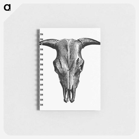 アートメモ帳-Animal Bone Illustration
 - 大英図書館 Memo.