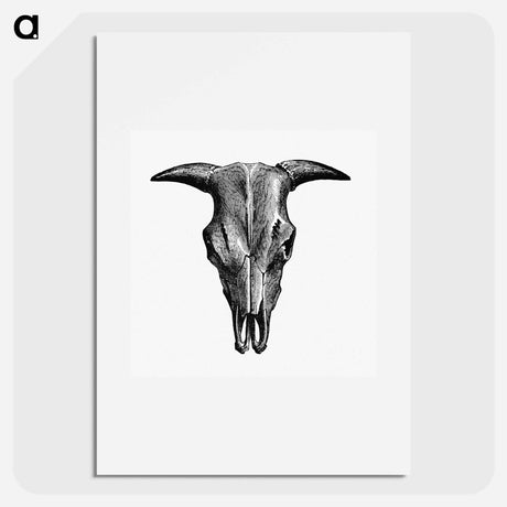 アートポスター-Animal Bone Illustration
 - 大英図書館 Poster.